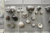 manchester museum 9-2023 8892